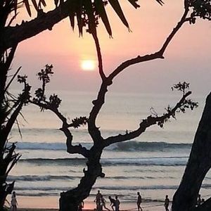 Meet your Posher, Joan marie